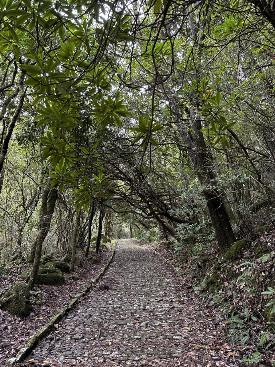 Imagem de adventures-hiking
